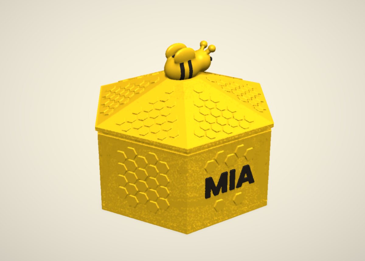 Surprise Dumpling Series 1 hive box with the name MIA